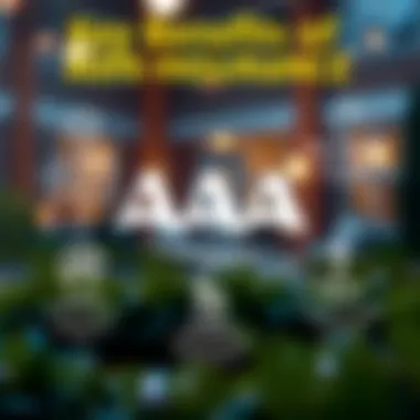 Key Benefits of AAA Life Insurance Graphical depiction of benefits offered by AAA Life Insurance