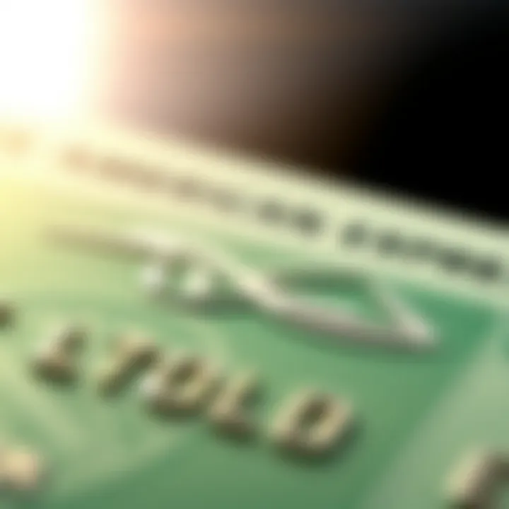 A close-up view highlighting the material composition of the Green Card.