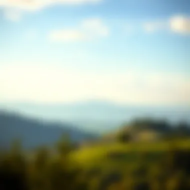 Visual metaphor for psychological aspects of financial independence, featuring a serene landscape.