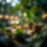 Diverse investment choices for Roth IRA