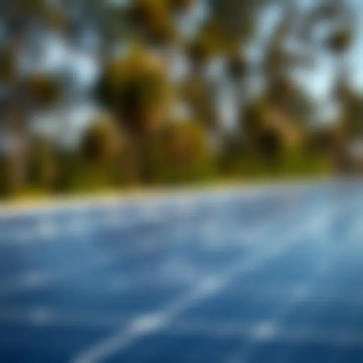 Solar Production Analysis A detailed view of solar panels with graphical representations of energy production statistics.