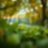 An overview of charitable trusts