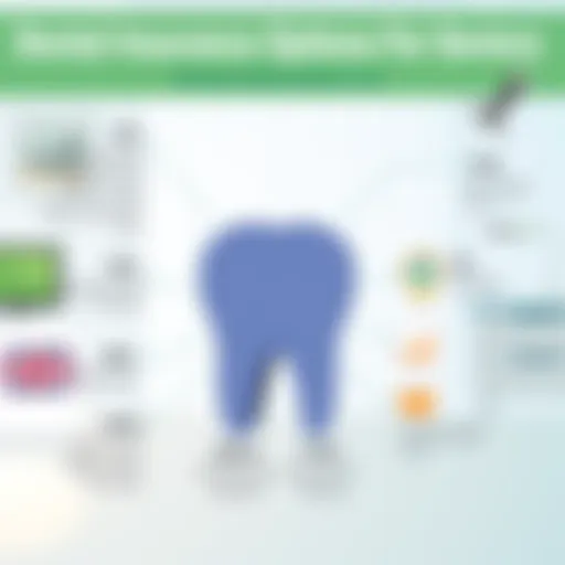 An infographic illustrating various dental insurance options available for seniors.