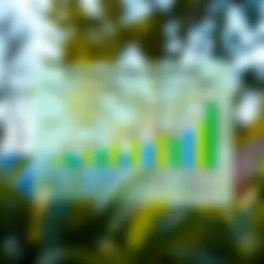 Energy savings chart comparing homes with and without solar panels