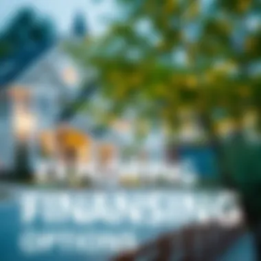 Conceptual illustration of financing options