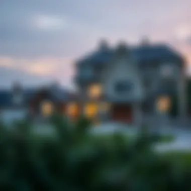 Strategic Borrower Considerations A strategic overview of borrower considerations