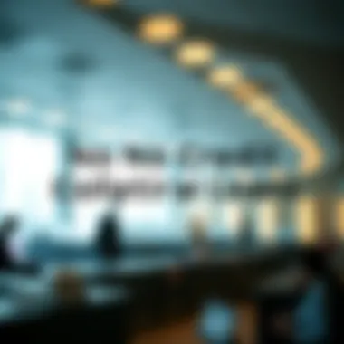 Conceptual representation of no credit collateral loans