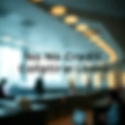 Conceptual representation of no credit collateral loans