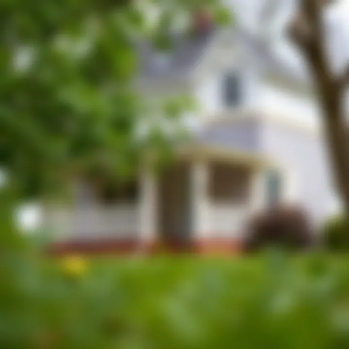 Expert Advice on USDA Loan Applications Tips for Applying for USDA Loans